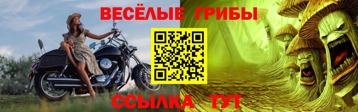 Гусь-Хрустальный  Галлюциногенные грибы Psilocybe  Вход с VPN  Псилоцибиновые грибы ЛСД 